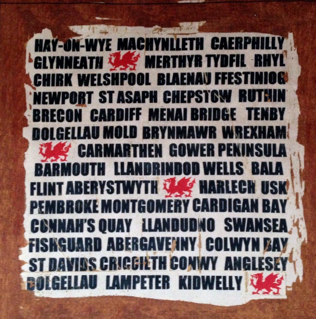 Cymru Welsh Towns Velvet Cushion Panel