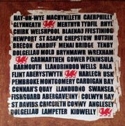 Cymru Welsh Towns Velvet Cushion Panel