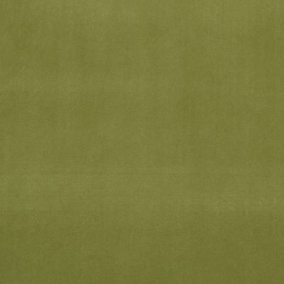 Clarke & Clarke Alvar Lime
