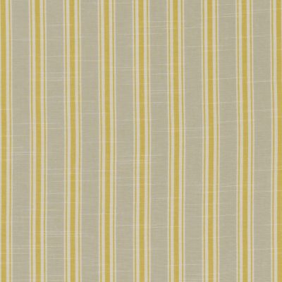 Clarke & Clarke Thornwick Citrus